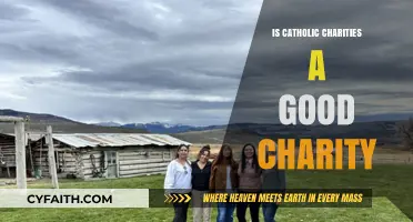Catholic Charities: A Good Charity?