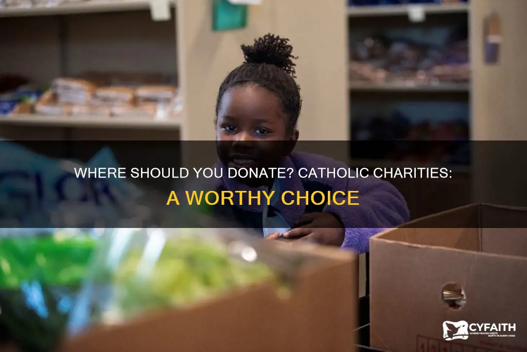 is catholic charities a good place to donate