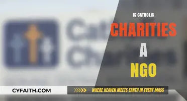 Is Catholic Charities an NGO? Exploring Its Role and Impact