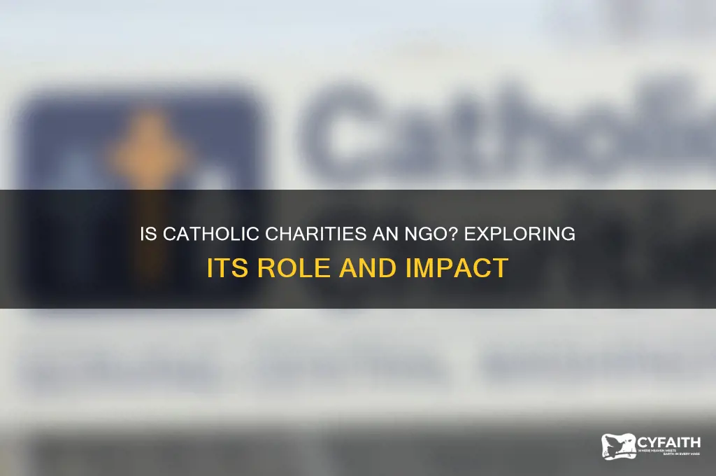 is catholic charities a ngo