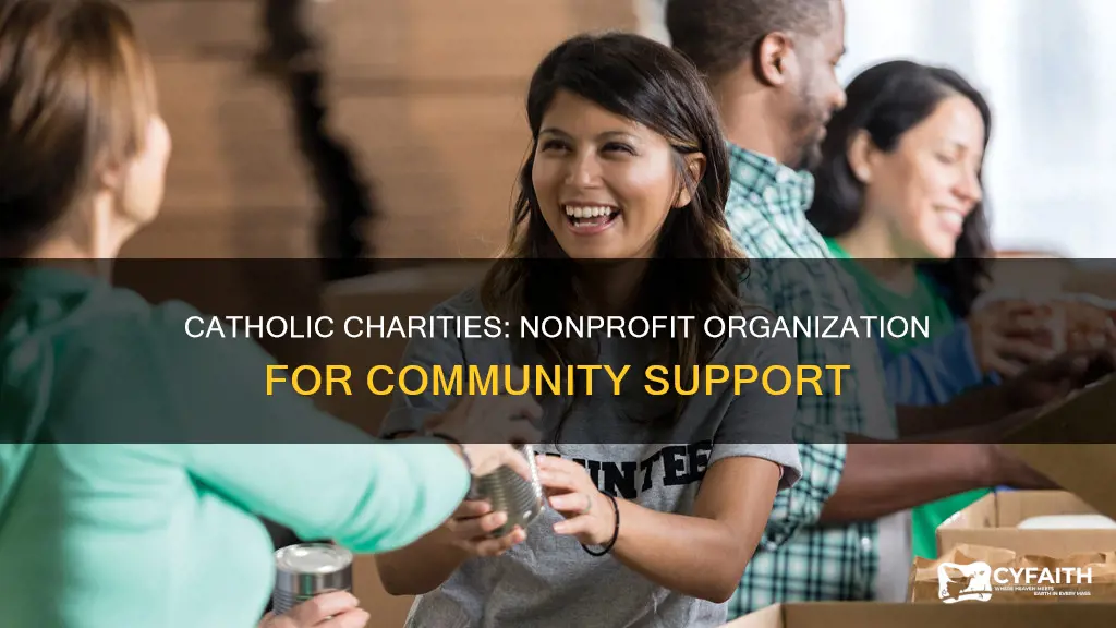is catholic charities a nonprofit organization