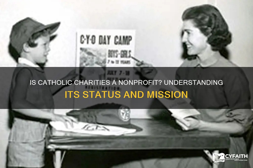 is catholic charities a nonprofit