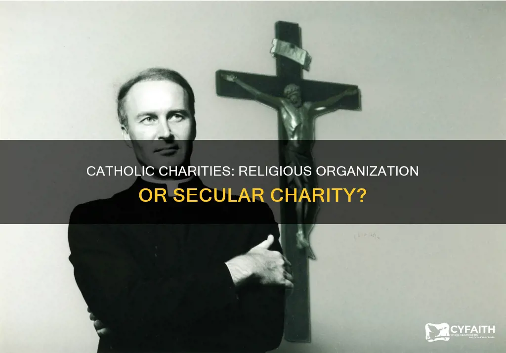 is catholic charities a religious organization