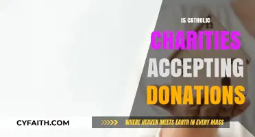 Catholic Charities Donation Acceptance: Current Status and How to Contribute