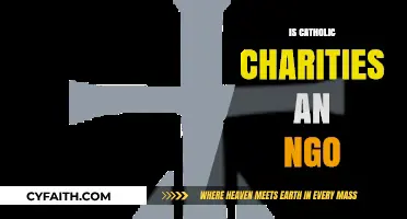 Is Catholic Charities an NGO? Exploring Its Role and Impact