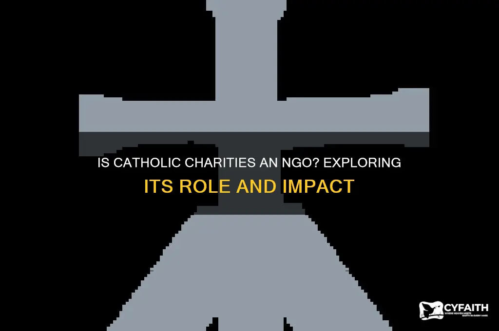 is catholic charities an ngo