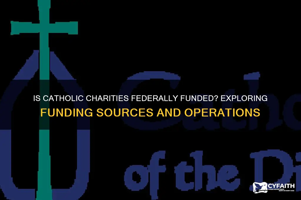 is catholic charities federally funded
