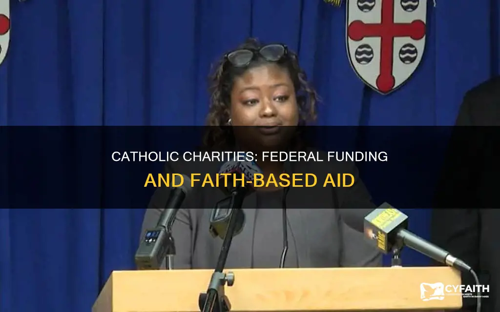 is catholic charities funded by the federal government