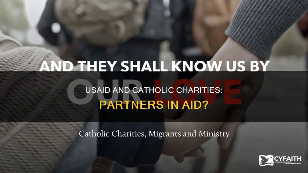 is catholic charities funded by usaid
