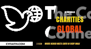 Exploring Catholic Charities' Global Reach and Humanitarian Impact Worldwide