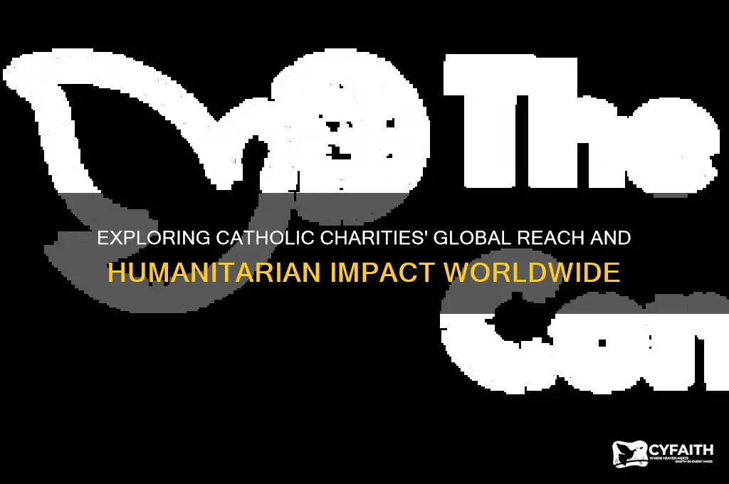 is catholic charities global