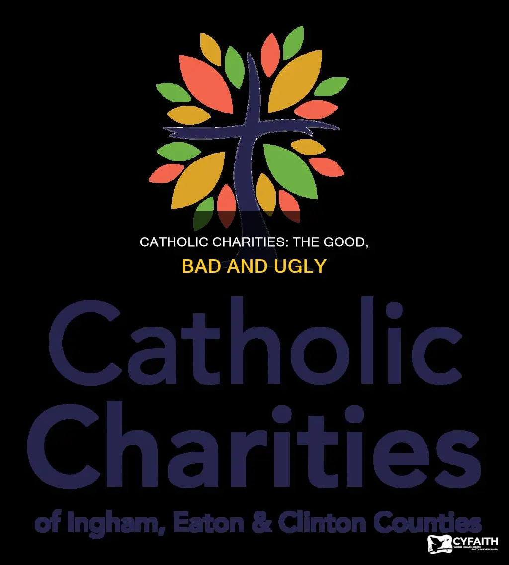 is catholic charities good the vortex