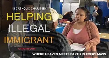 Catholic Charities: Aiding Undocumented Immigrants