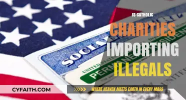 Catholic Charities and the Debate Over Immigrant Aid: Facts vs. Myths