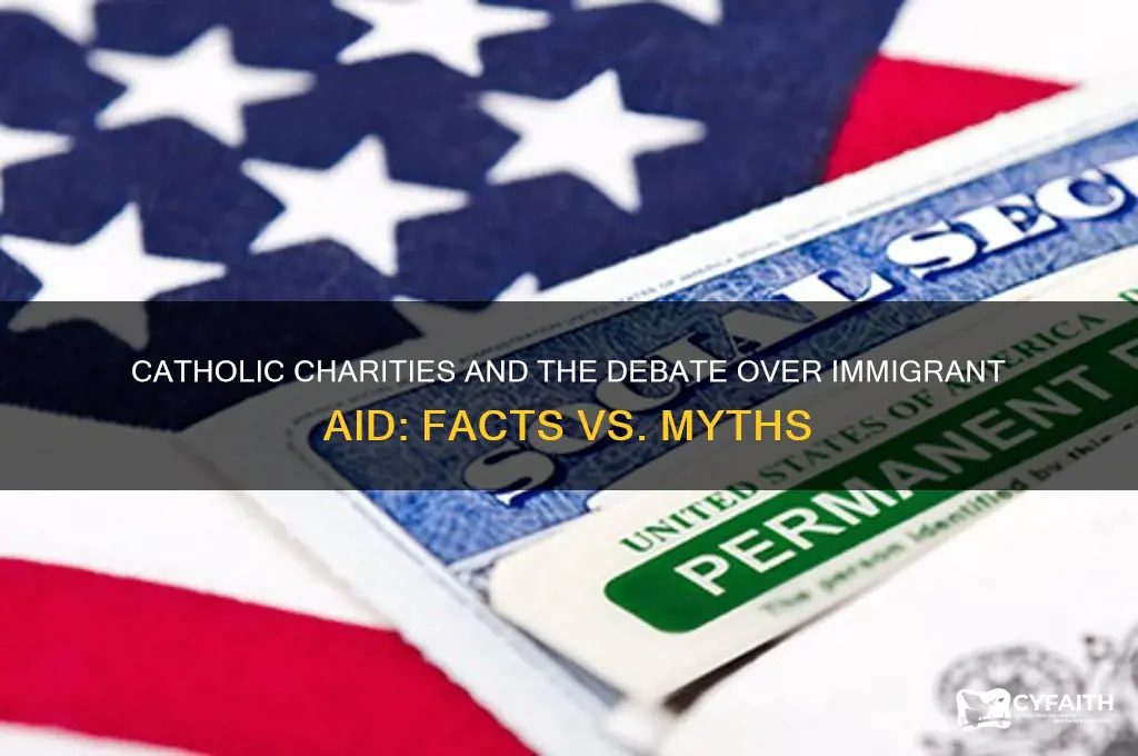 is catholic charities importing illegals