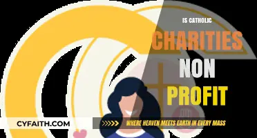 Is Catholic Charities a Non-Profit? Exploring Its Status and Mission