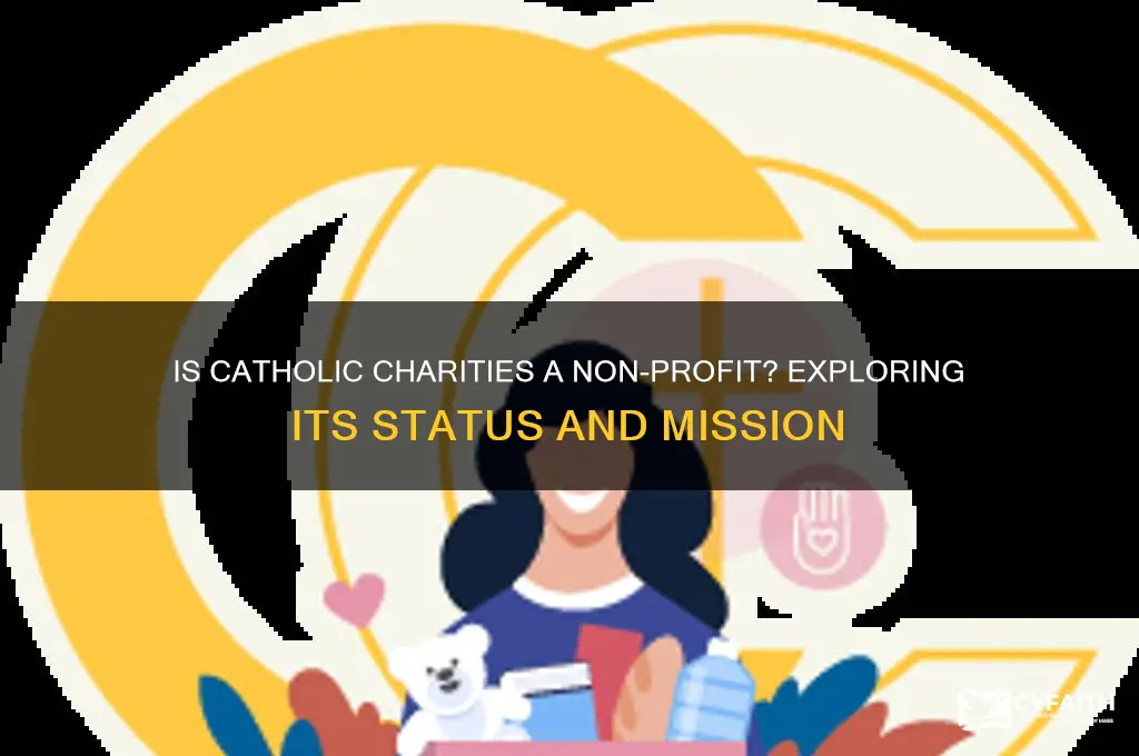 is catholic charities non profit