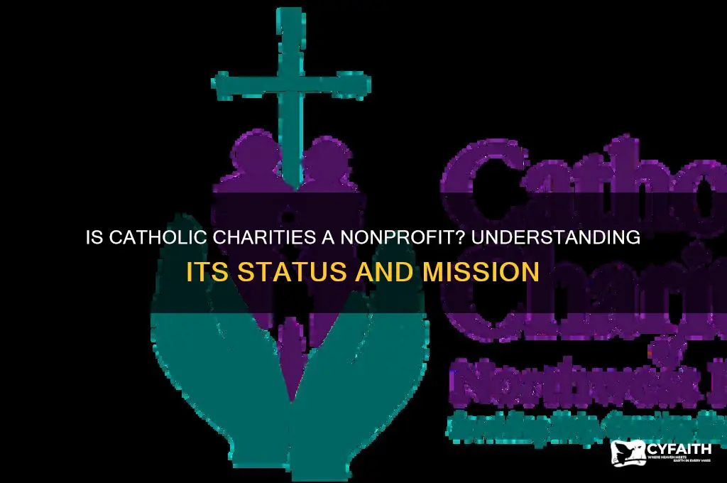 is catholic charities nonprofit