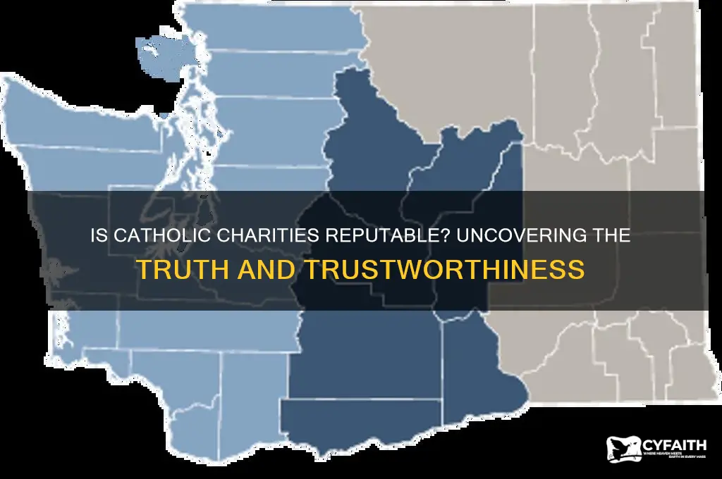 is catholic charities reputable