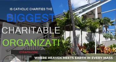 Catholic Charities: World's Largest Charity Organization?