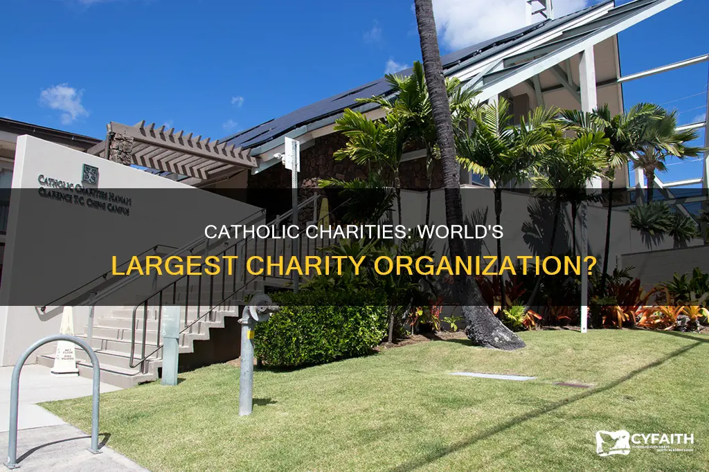 is catholic charities the biggest charitable organization