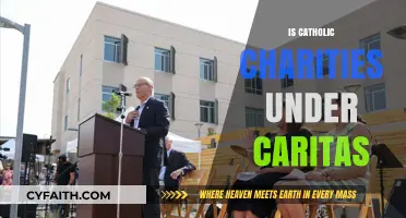 Catholic Charities and Caritas: Understanding Their Connection and Mission