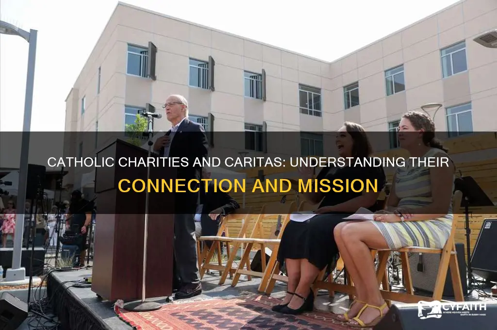 is catholic charities under caritas