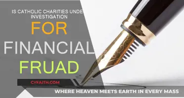Catholic Charities: Financial Fraud Investigation