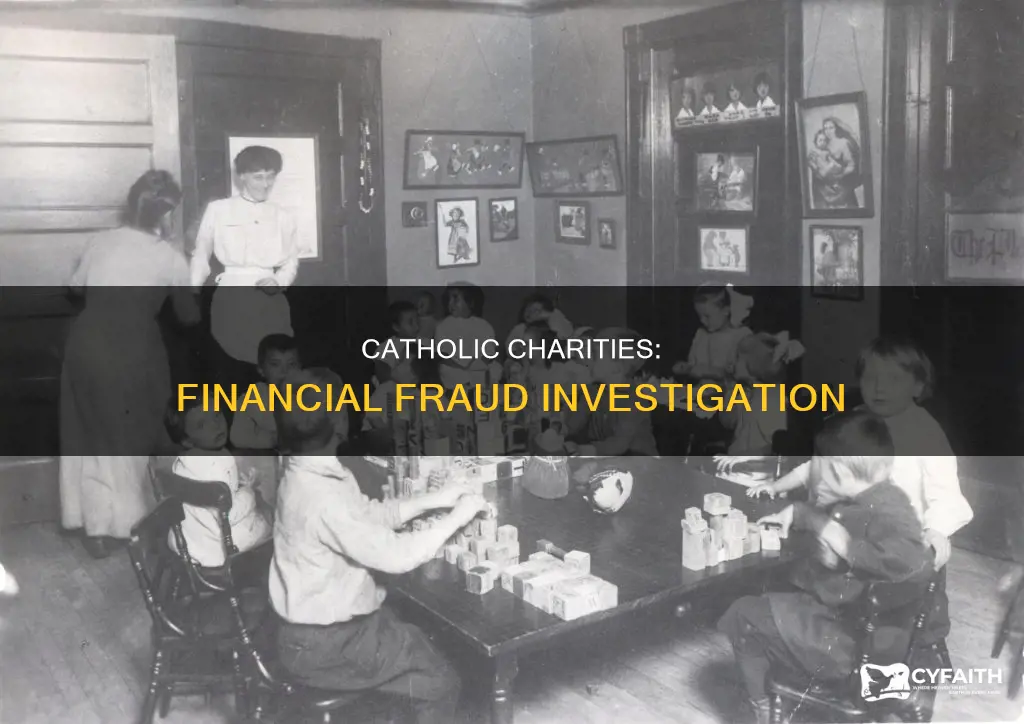 is catholic charities under investigation for financial fruad