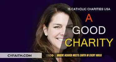 Catholic Charities USA: A Good Charity?