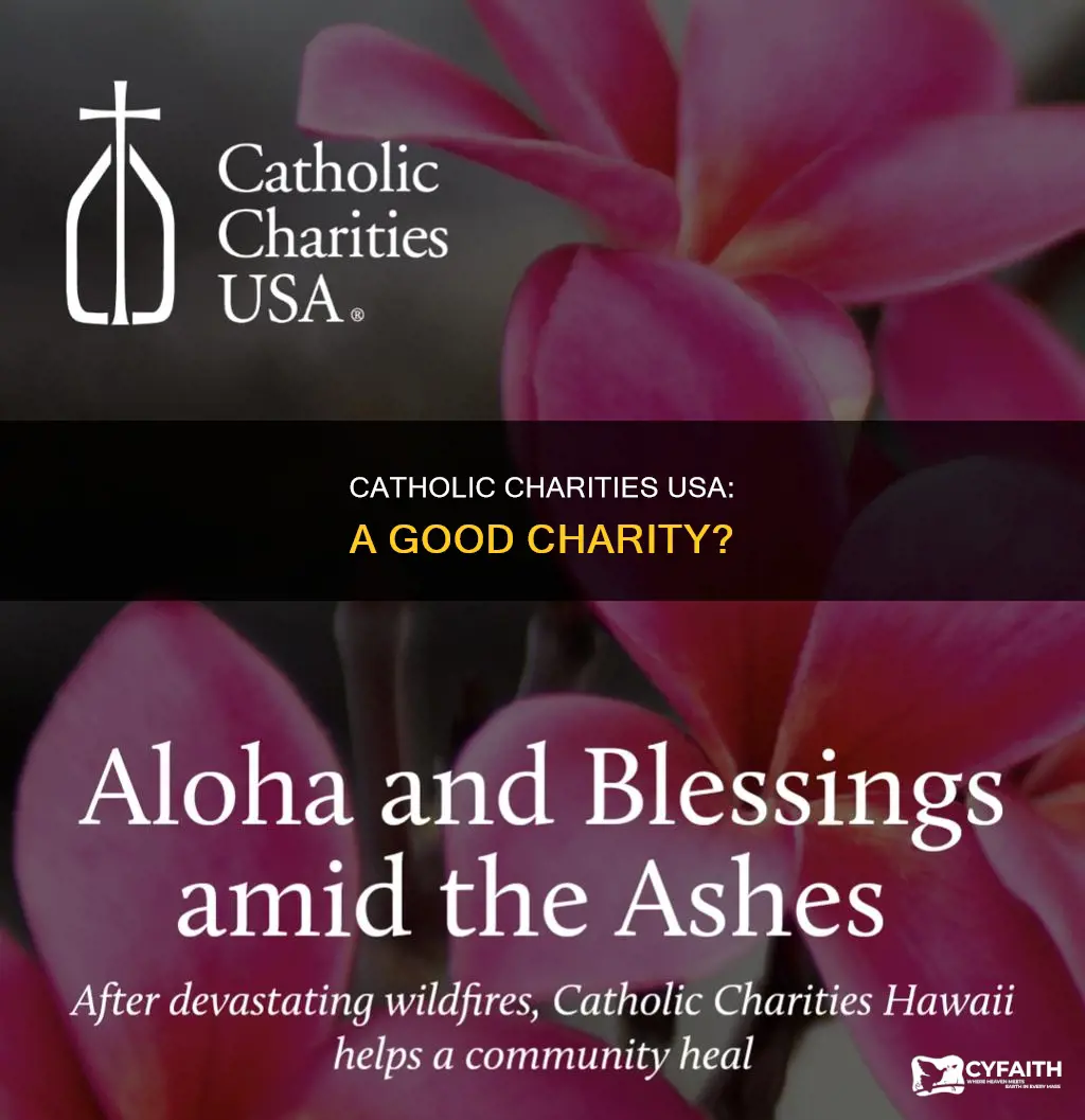 is catholic charities usa a good charity
