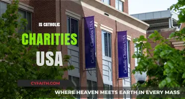 Understanding Catholic Charities USA: Mission, Impact, and Community Support