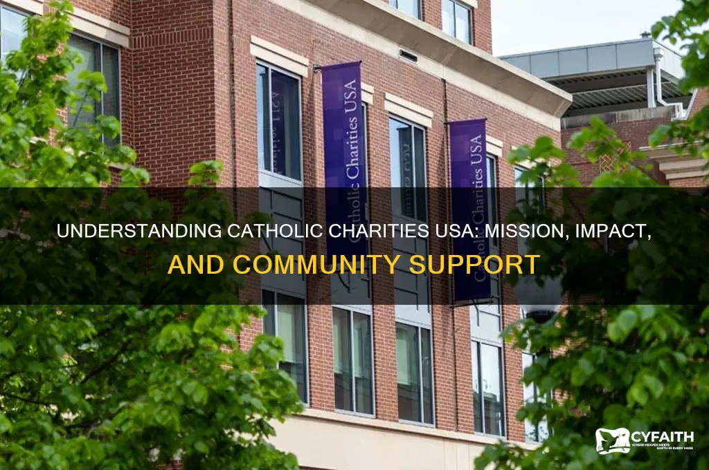 is catholic charities usa