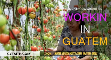 Catholic Charities: Guatemala's Helping Hand
