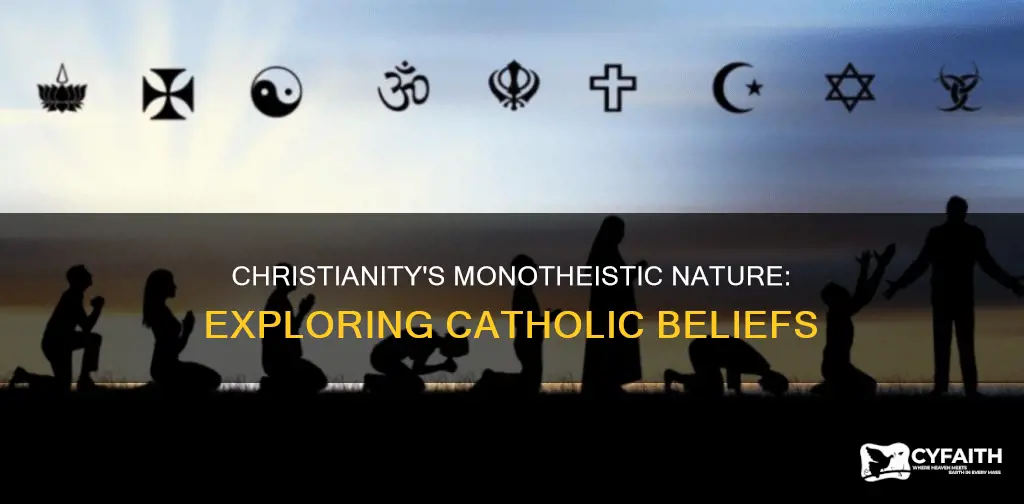 is catholic christianity monotheistic or polytheistic
