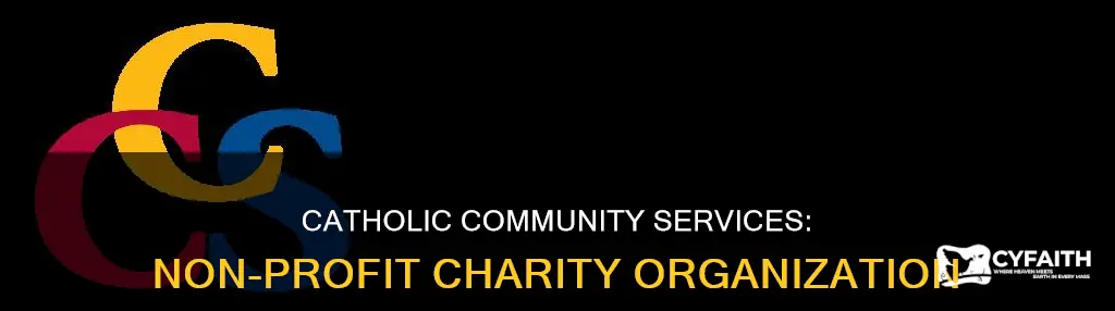 is catholic community services non profit