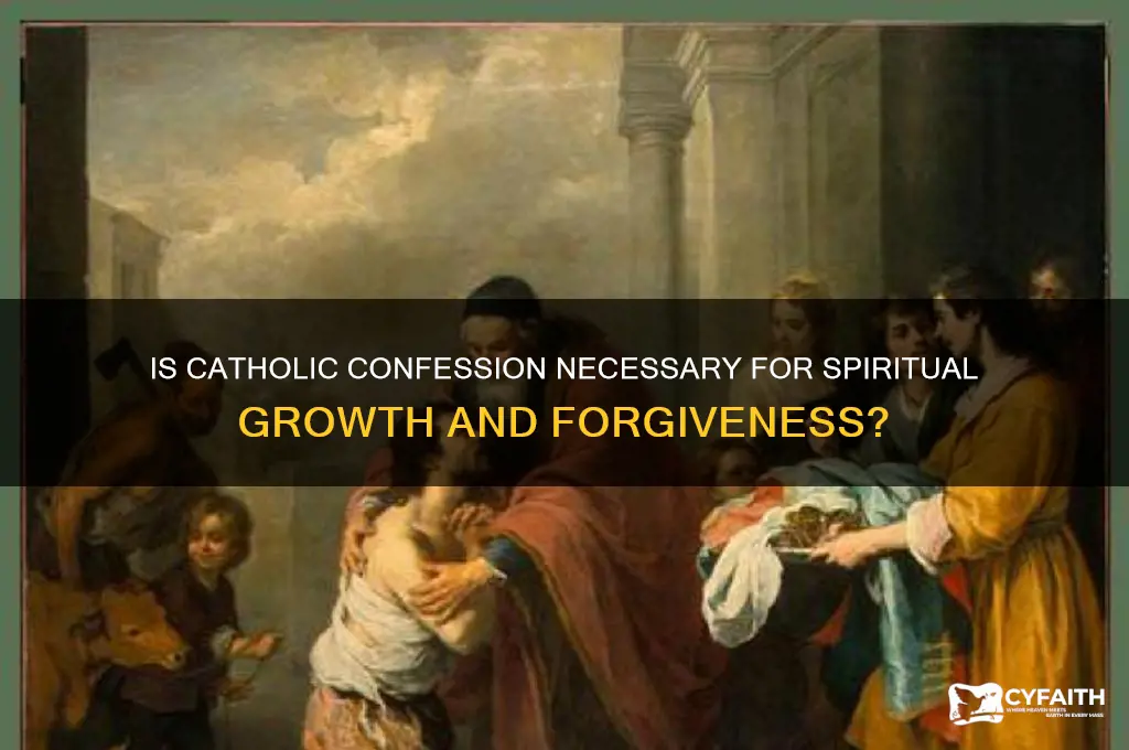 is catholic confession necessary