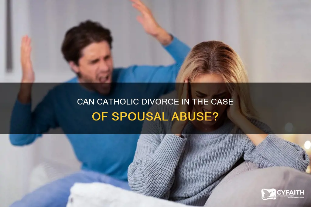is catholic divorce ok if spouse abuse
