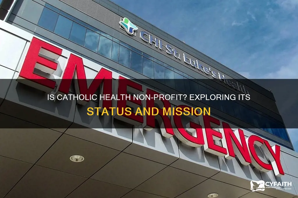 is catholic health non profit