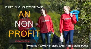 Heart Work: Catholic Heart Work Camp's Non-Profit Mission