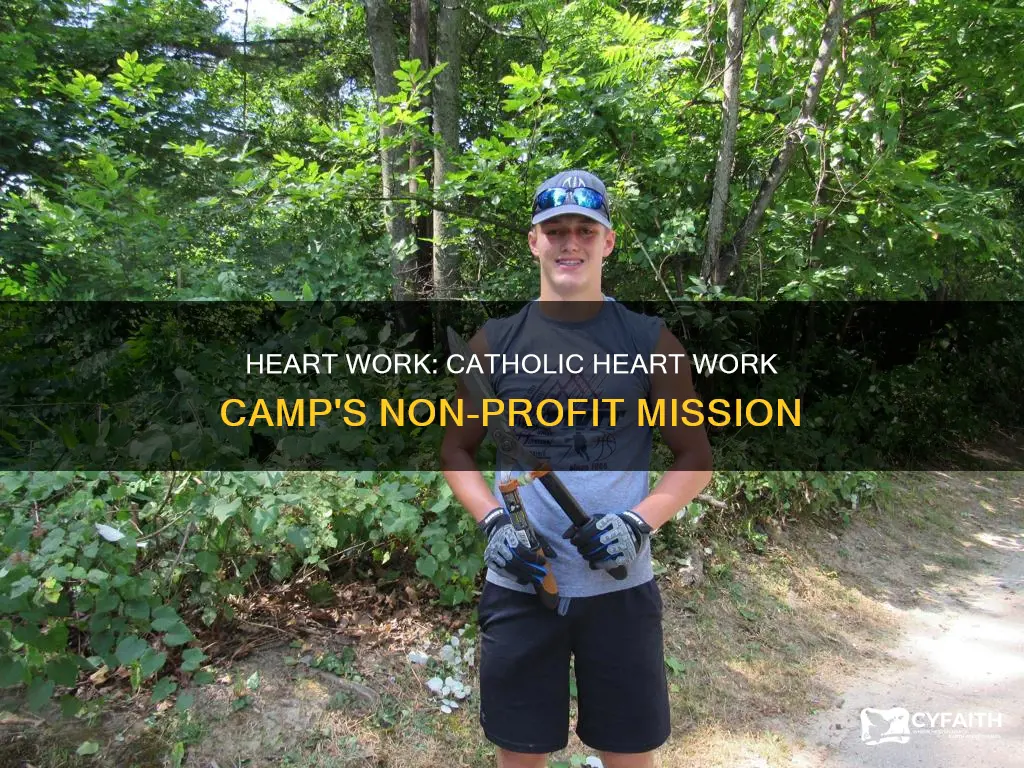 is catholic heart workcamp an non profit