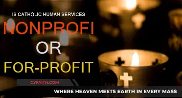 Catholic Human Services: Nonprofit or For-Profit?