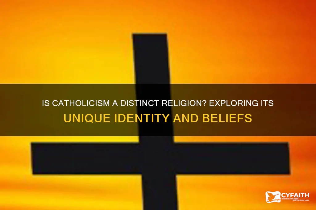is catholic its own religion