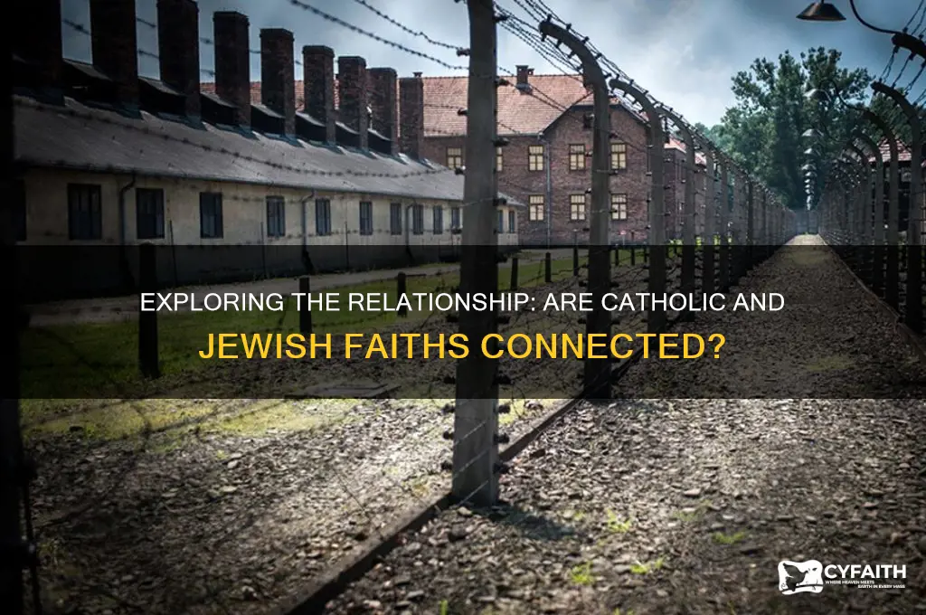 is catholic jewish