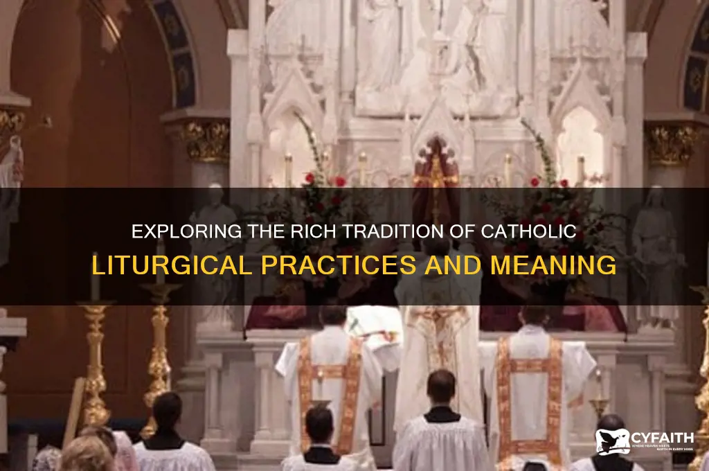 is catholic liturgical