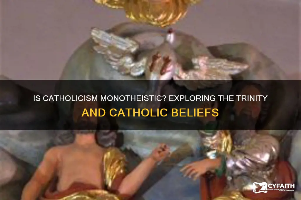 is catholic monotheistic