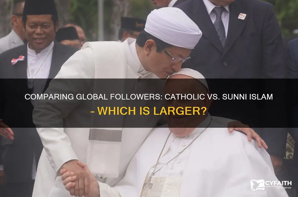 is catholic or sunni bigger