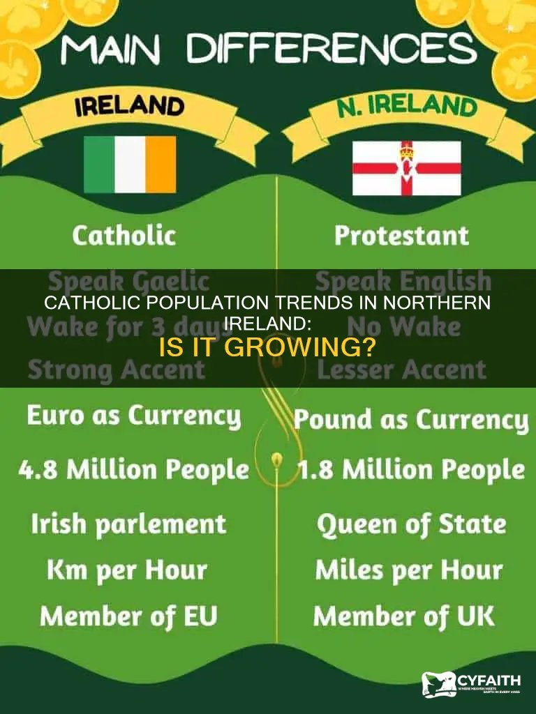 is catholic population increasing in ni