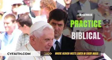 Is Catholic Practice Rooted in Scripture? A Biblical Examination