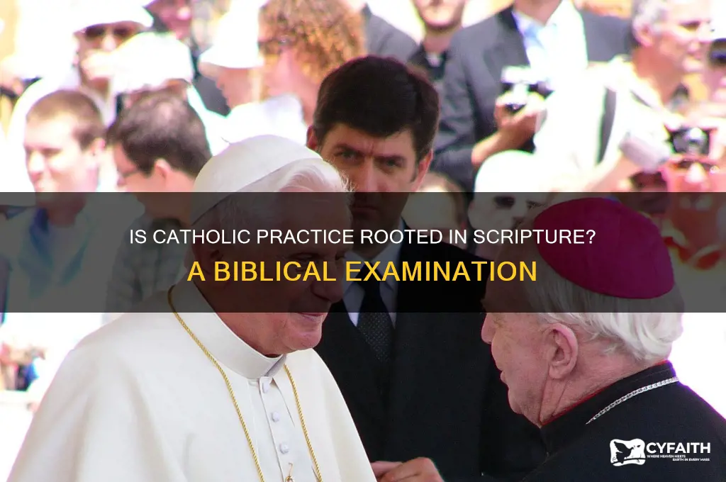 is catholic practice biblical